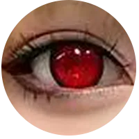27.webp